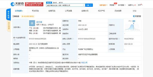 計算機軟硬件及輔助設備零售 數字時代的商業基石